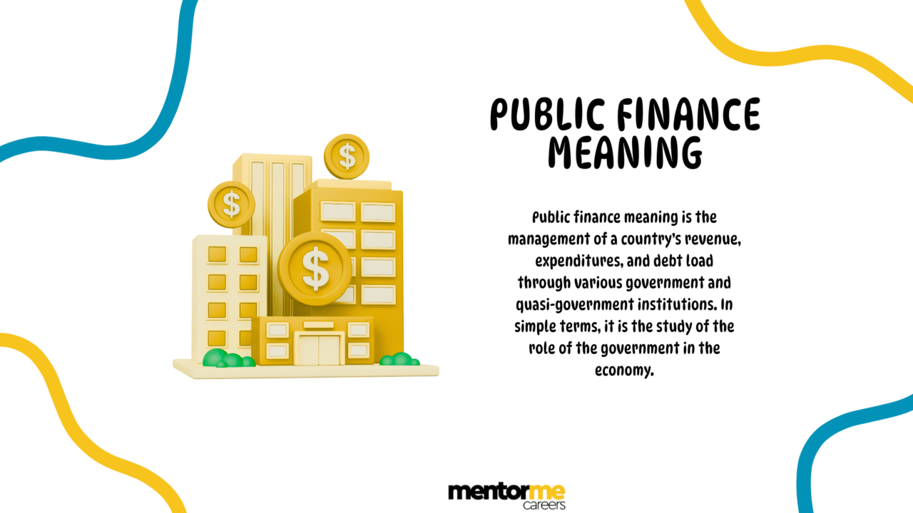 Public Finance meaning