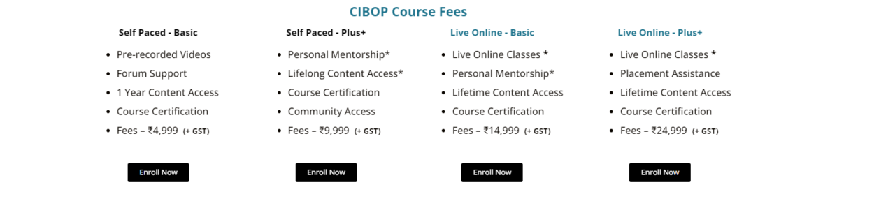 Investment Banking courses in India fees