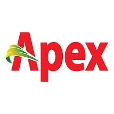 Apex Fund Services Pune finance company
