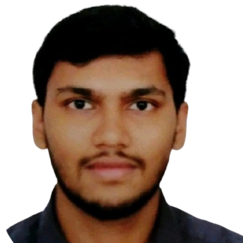 Ganesh Raut financial modelling placement